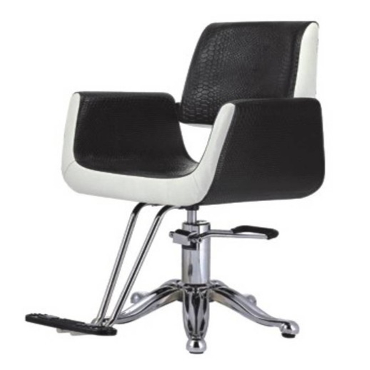 all purpose chair beauty salon styling chair for sale 