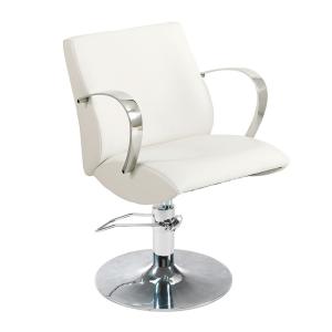 Professional Barber Shop Hair Styling Chair