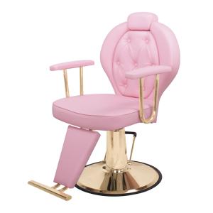 Ladies Hydraulic Salon Chair Beauty Hair Cutting Chair